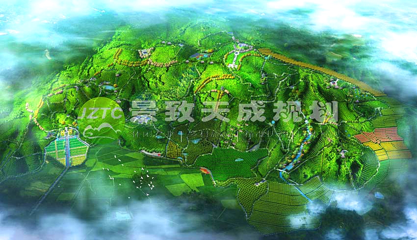 茶陵龍燦生態茶園總體規劃