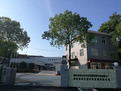 湖南茶陵龍燦生態(tài)茶園基地展示