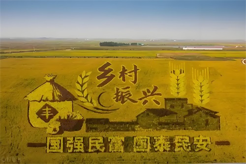 必讀！鄉村振興先進村發展的10條共同經驗