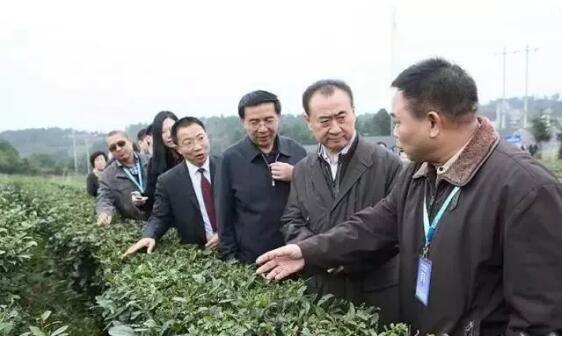 長沙景致天成農(nóng)業(yè)項(xiàng)目規(guī)劃設(shè)計(jì)有限責(zé)任公司,長沙農(nóng)業(yè)項(xiàng)目,休閑農(nóng)業(yè)規(guī)劃,旅游景區(qū)設(shè)計(jì)